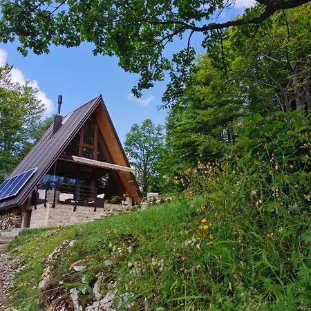 Tara 1395 Altitude Sekulic