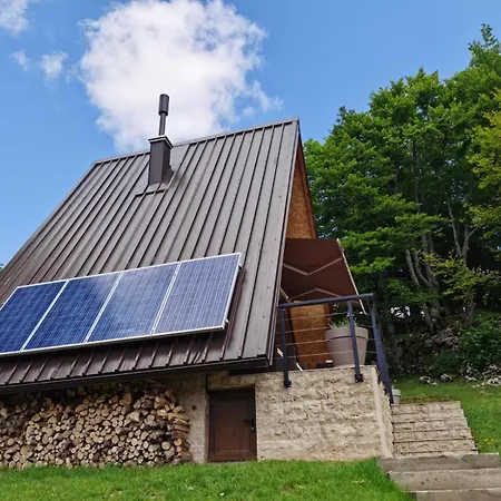 Tara 1395 Altitude Chalet